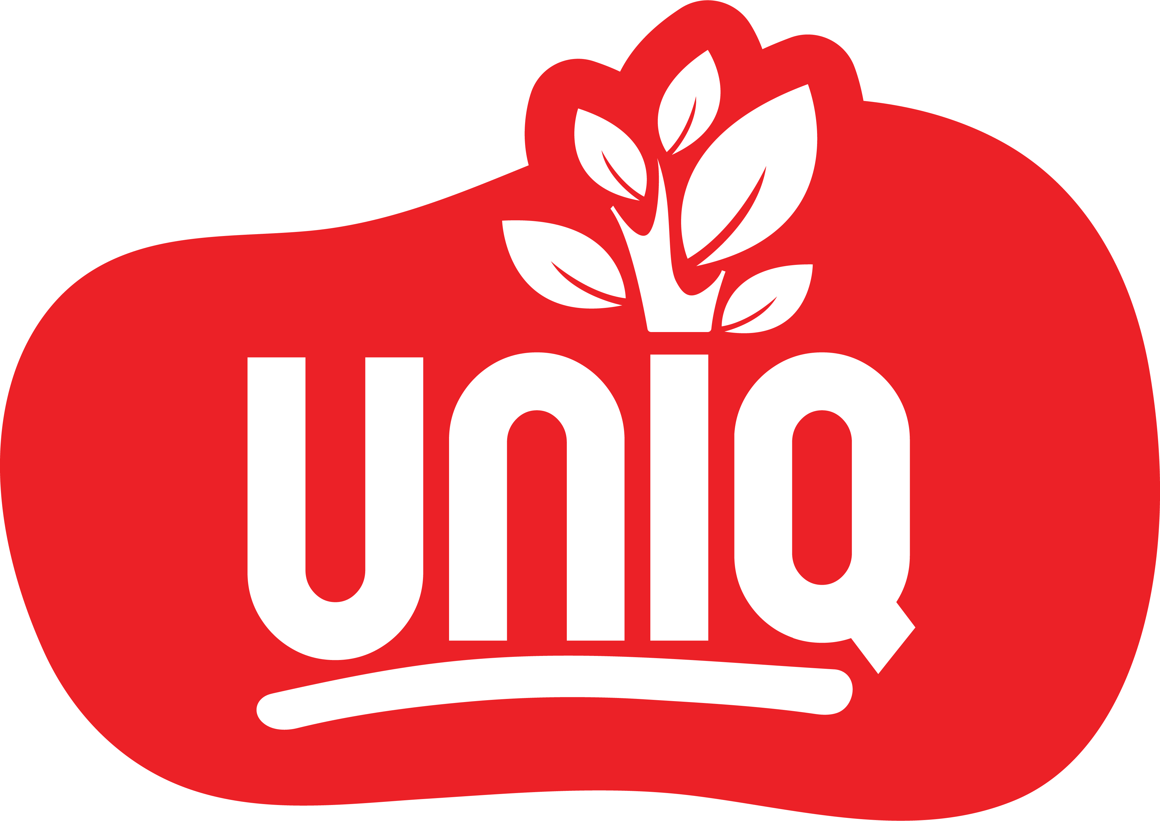 Uniq Foods – South Indian Ready-Made Food Brand